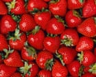 June’s sunshine adds extra sweetness to bumper summer for UK strawberries